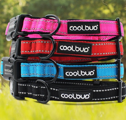 Dog Collars